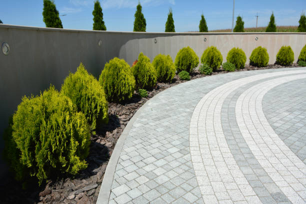 Reasons to Select Us for Your Driveway Paving Requirements in Black River Falls, WI