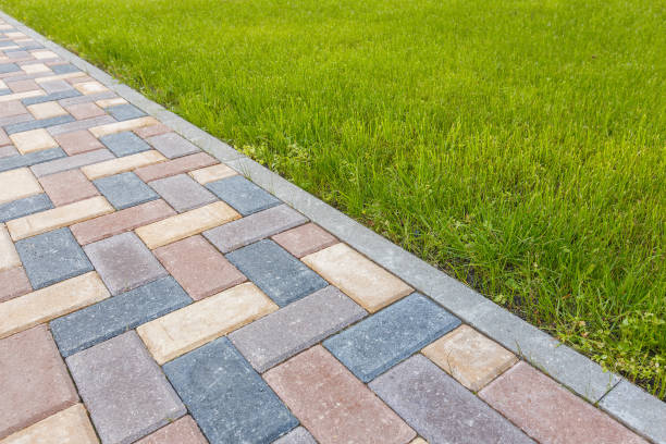 Best Custom Driveway Pavers  in Black River Falls, WI